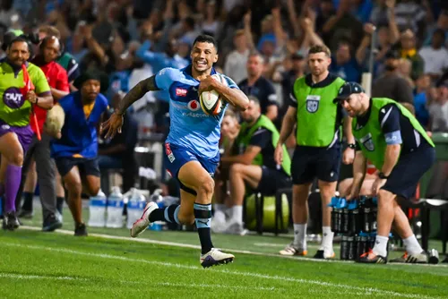 Bulls coach Johan Ackermann