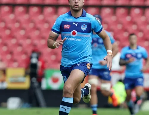 Bulls rugby team in action