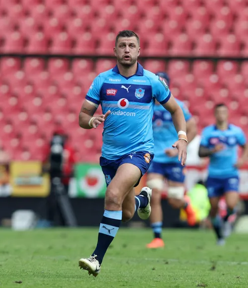 Bulls rugby team in action