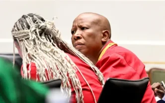 Julius Malema speaking in Parliament