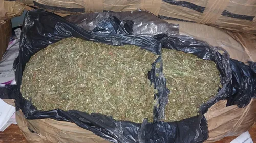 Oshoek Border Control