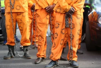 Department of Correctional Services logo