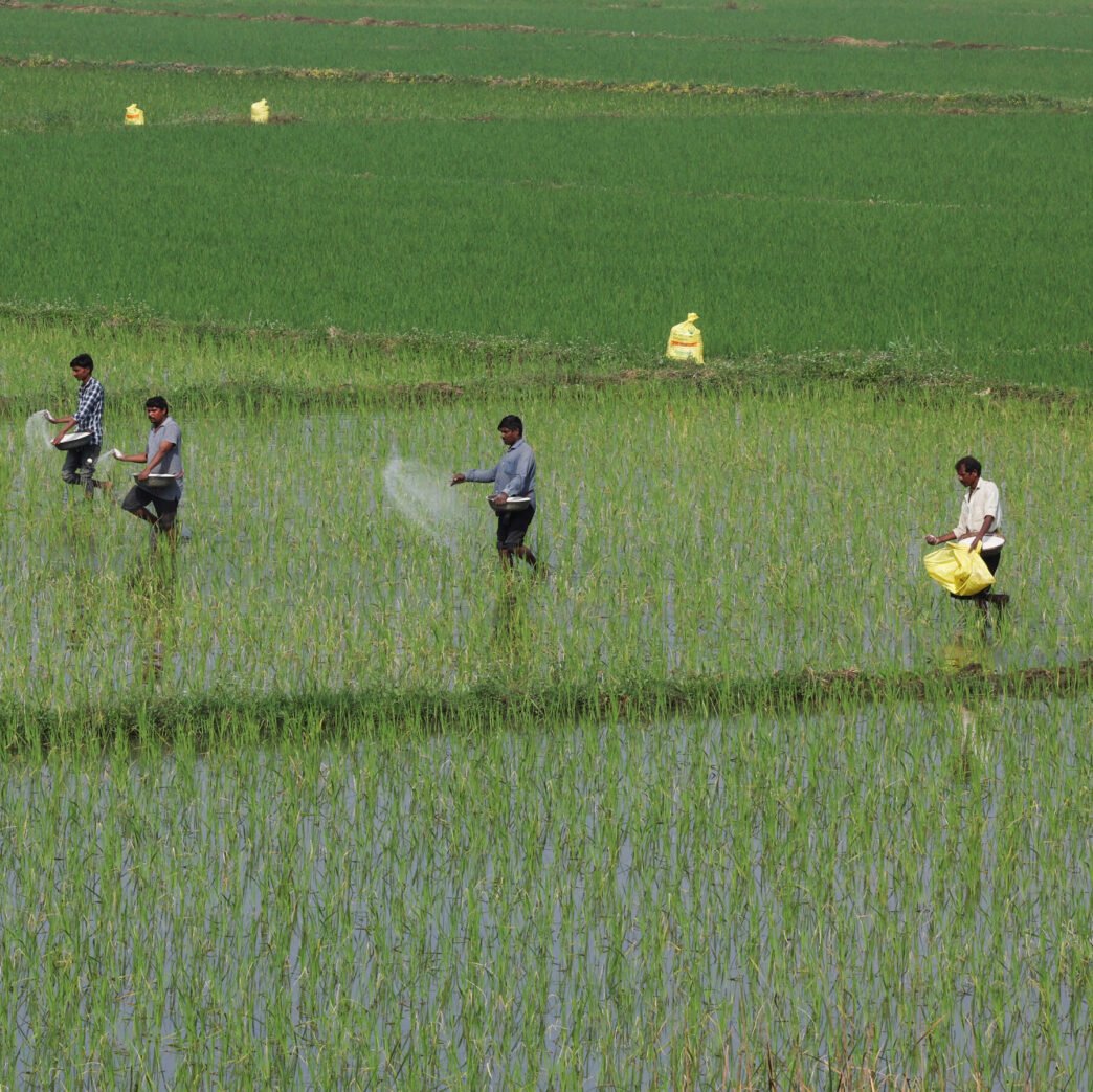 Fertilizer factory in the Middle East