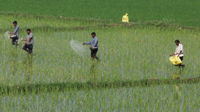 Fertilizer factory in the Middle East