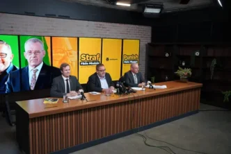 Fikile Mbalula photo