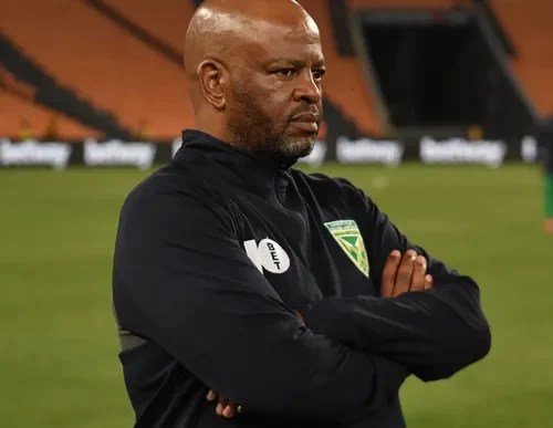 Manqoba Mngqithi, Golden Arrows head coach