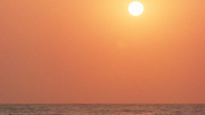 map of South Africa showing weather forecast