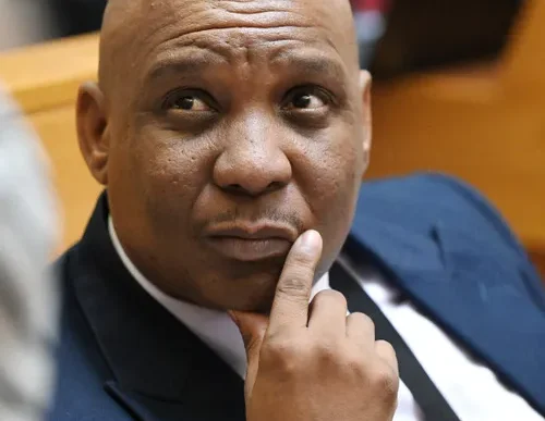 Madlanga Commission logo