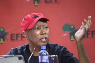 Julius Malema and Nhlanhla Mkhwanazi