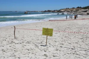 Cape Town marine outfall