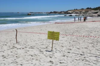 Cape Town marine outfall