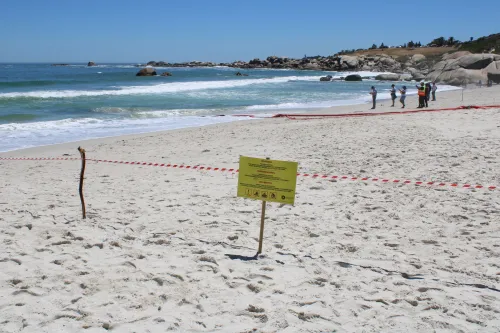 Cape Town marine outfall