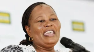 Mbali Shinga, KZN MEC and NFP provincial chairperson