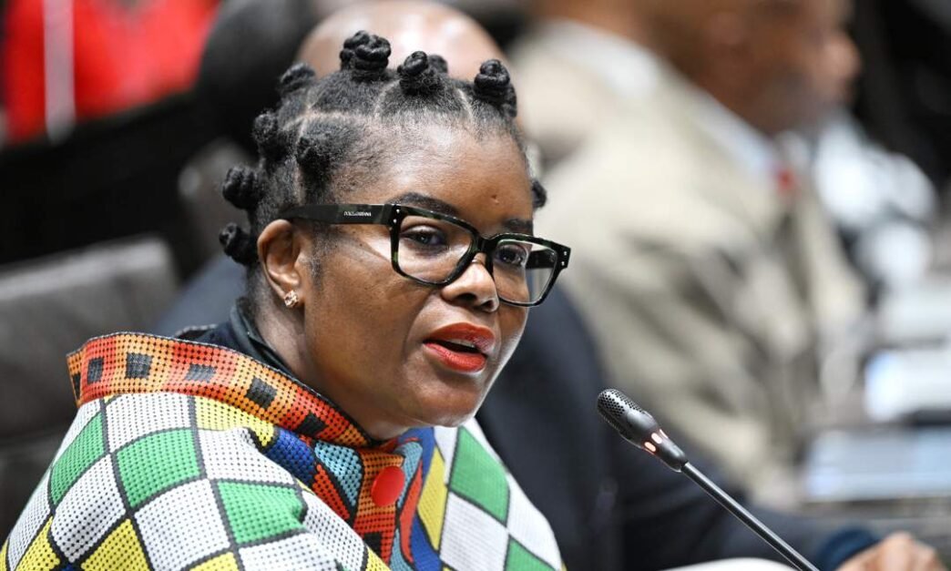 Nobuhle Nkabane in Parliament