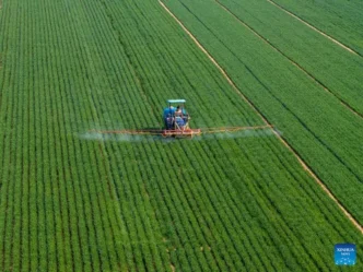 North Korea border crossing