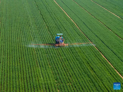 North Korea border crossing