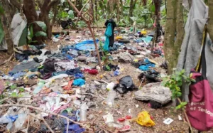 Overgrown grass and vandalised sub-stations in Richards Bay