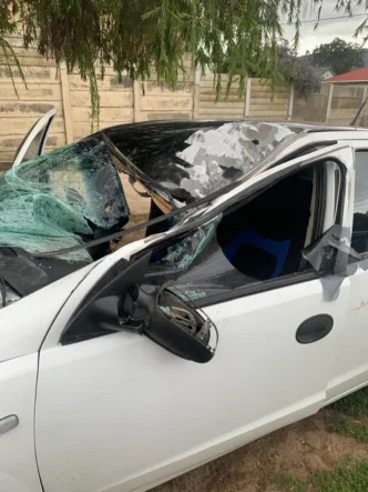Car damaged after colliding with wild horse on R43