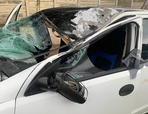 Car damaged after colliding with wild horse on R43