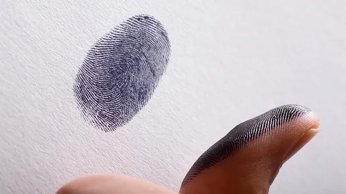 South African wills and estates law