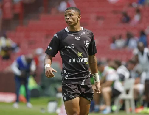 Sharks Rugby Team Logo