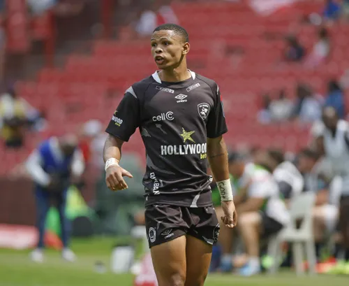 Sharks Rugby Team Logo