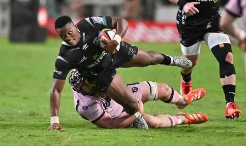 Sharks players celebrating a try