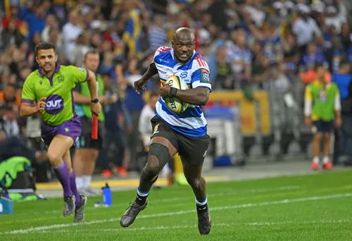 Stormers players in action