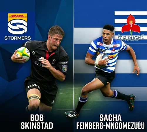 Stormers players in action during a rugby match