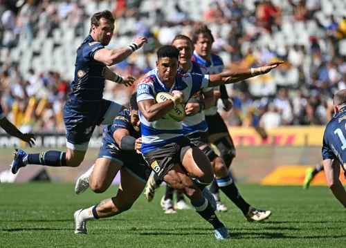 Stormers players celebrating a try