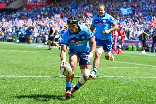 Stormers players celebrating a try