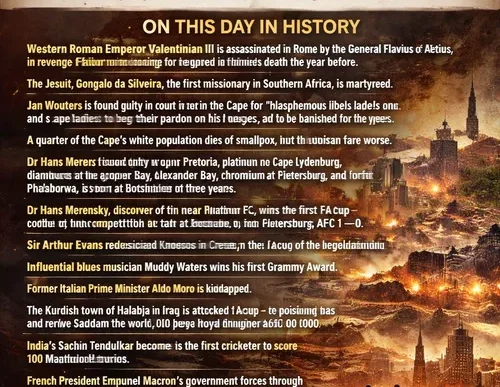 Photo of a radiated tortoise