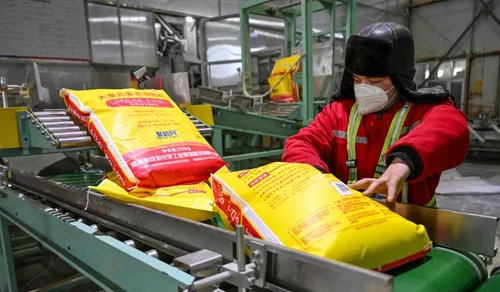 Wheat fields in Russia