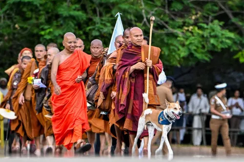 Buddhist monk walking barefoot with dog