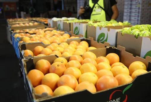 citrus fruit being loaded onto a ship