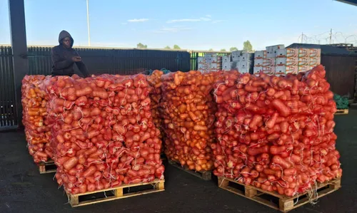 Fruit importers struggling with currency volatility