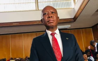 Julius Malema in court