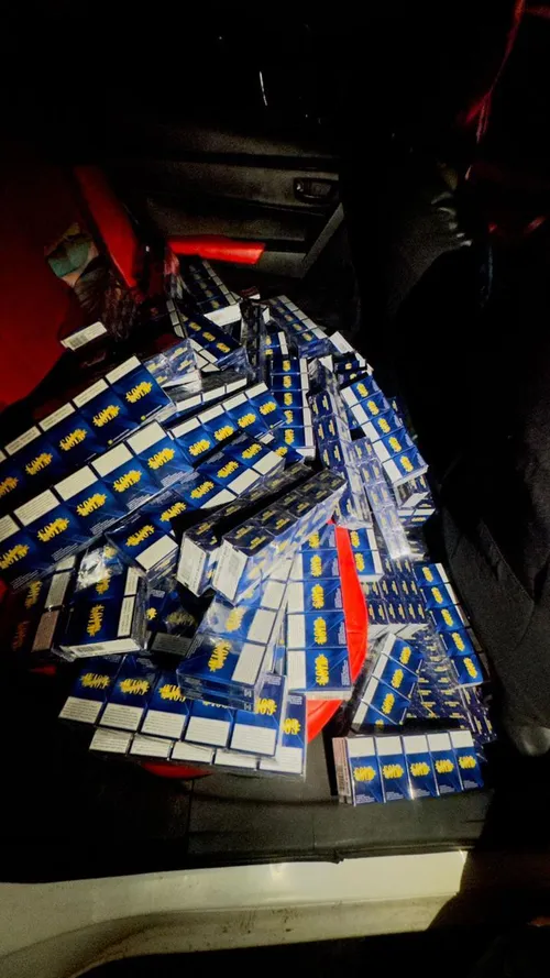 Limpopo police seizing illicit cigarettes