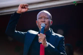 Julius Malema in court