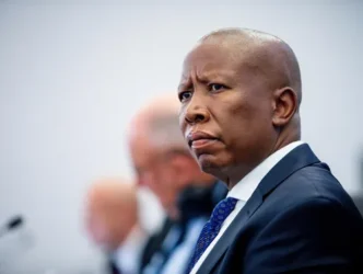 Julius Malema in court
