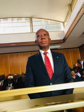 Julius Malema in court