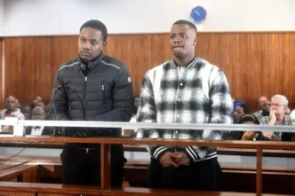 Bellarmine Mugabe in court