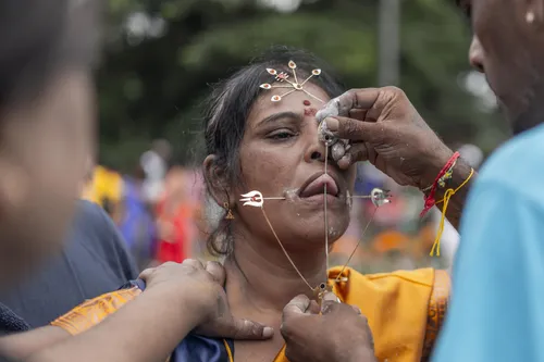Devotees carrying kavadis during the Panguni Uthiram Kavady Festival