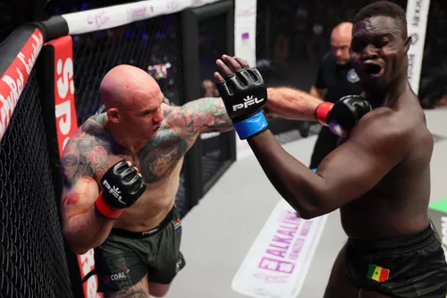 PFL Africa Season 2 fighters in action