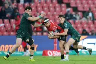 Lions players celebrating a try against Connacht