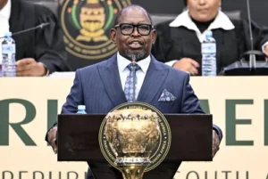 Enoch Godongwana, Finance Minister of South Africa