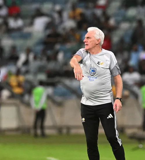 Hugo Broos, Bafana Bafana coach
