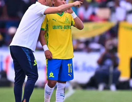 Mamelodi Sundowns players in action