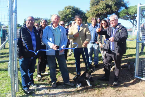 Dog owners and their pets at the new off-leash dog park in Mowbray