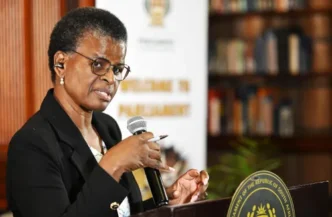 Bridget Masango, Chairperson of the Portfolio Committee on Social Development